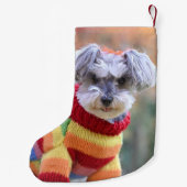 Teacup Schnauzer Puppy Dog in Sweater Kleine Kerstsok (Achterkant)