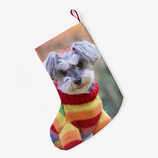 Teacup Schnauzer Puppy Dog in Sweater Kleine Kerstsok (Achterkant (Hangend))