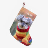 Teacup Schnauzer Puppy Dog in Sweater Kleine Kerstsok (Voorkant (Hangend))