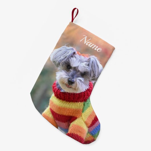 Teacup Schnauzer Puppy Dog in Sweater Kleine Kerstsok (Voorkant (Hangend))