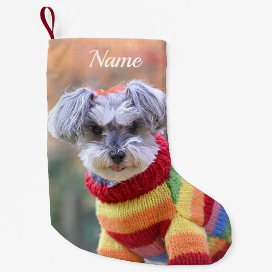 Teacup Schnauzer Puppy Dog in Sweater Kleine Kerstsok (Voorkant)