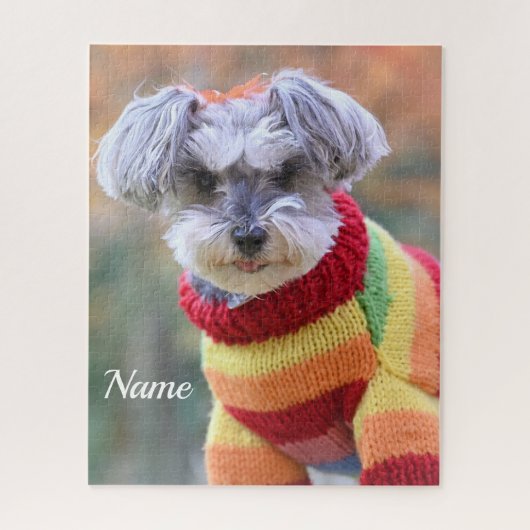 Teacup Schnauzer Puppy Dog in Sweater Legpuzzel (Verticaal)