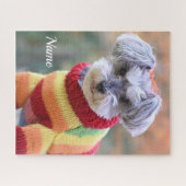 Teacup Schnauzer Puppy Dog in Sweater Legpuzzel (Horizontaal)