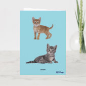 Teacup Tabbies Gevouwen Wenskaart Kaart (Achterkant)