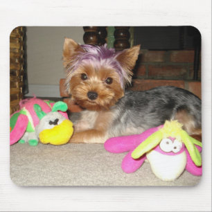 Teacup Yorkie Paarse Princess  Muismat