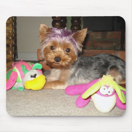 Teacup Yorkie Paarse Princess  Muismat (Voorkant)