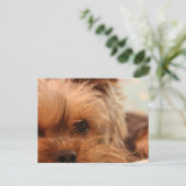 teacup yorkie puppy briefkaart (Staand voorkant)