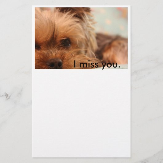 Teacup Yorkshire Puppy Stationery Briefpapier (Voorkant)