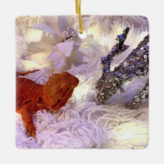 Teak de gevlekte drakenvrede op aarde keramisch ornament (Voorkant)