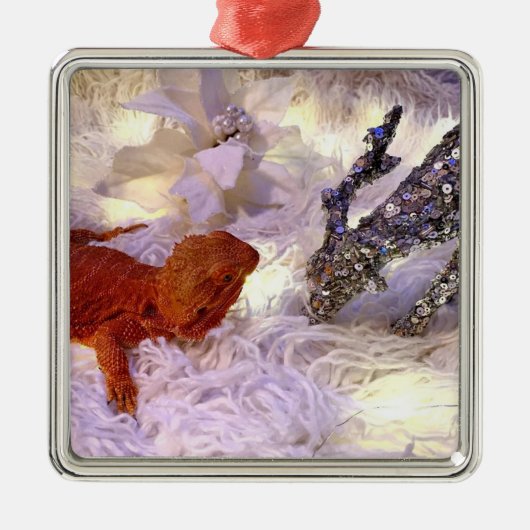 Teak de gevlekte drakenvrede op aarde metalen ornament (Voorkant)