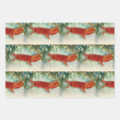 Teak the Bearded Dragon - Papieren vellen inpakken (Voorkant 3)