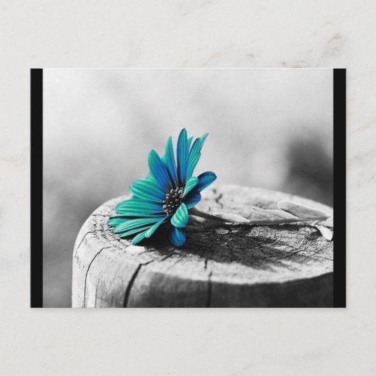 Teal Bloem Briefkaart (Voorkant)