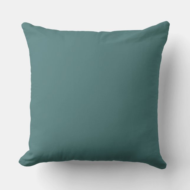 Teal Kleur Overeenkomende Buitenkussen (Voorkant)
