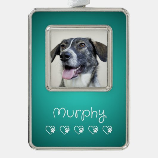 Teal Pet Photo Ornament - Frame, Custom Keepsake (Voorkant)