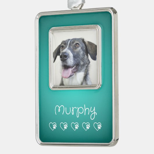 Teal Pet Photo Ornament - Frame, Custom Keepsake (Links)