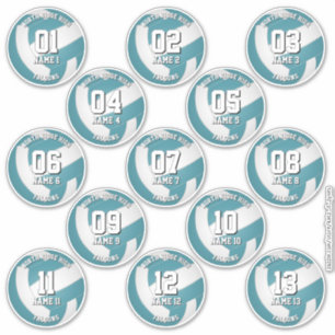 teal volleybalclub kleurenstickers 13 atleten sticker