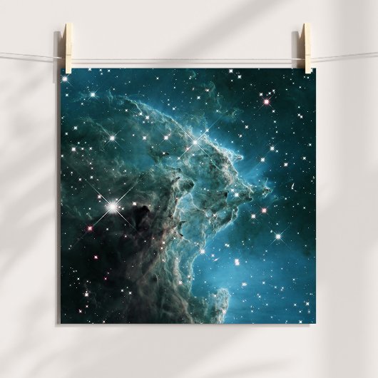 Tealblauwe Aaphoofdnevel Poster