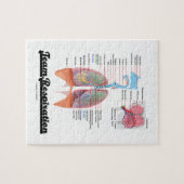 Team Ademhaling (Ademhalingsstelsel) Legpuzzel (Horizontaal)