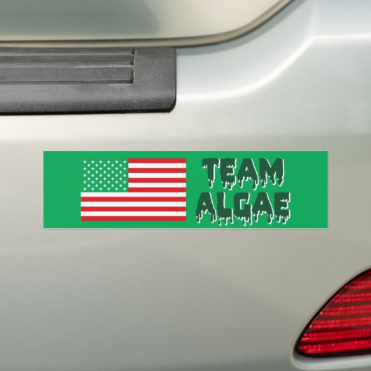 Team Algae Reflecting Pool Grappige Anti-Trump sti Bumpersticker (Op auto)