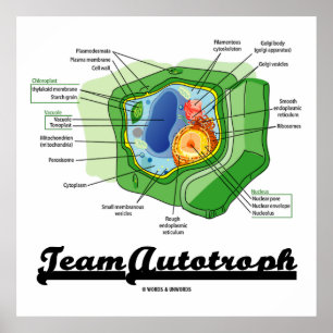 Team Autotroph (biologie van Plant-cellen) Poster