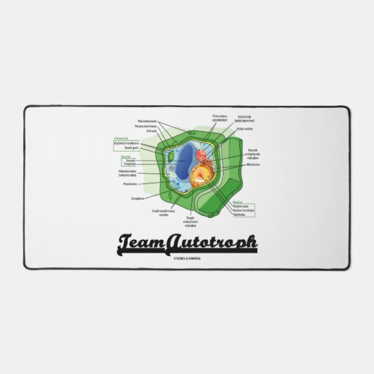 Team Autotroph Plant celbiologie Bureaumat (Voorkant)