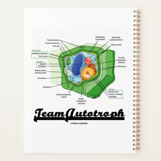 Team Autotroph Plant celbiologie Planner (Achterkant)
