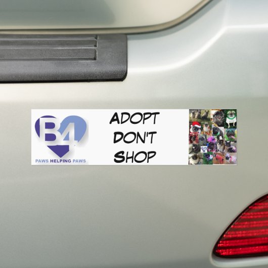 Team B4 Bumpersticker (Op auto)