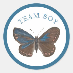 Team Baby Boy Elegante Vlinder Geslacht onthullen Ronde Sticker