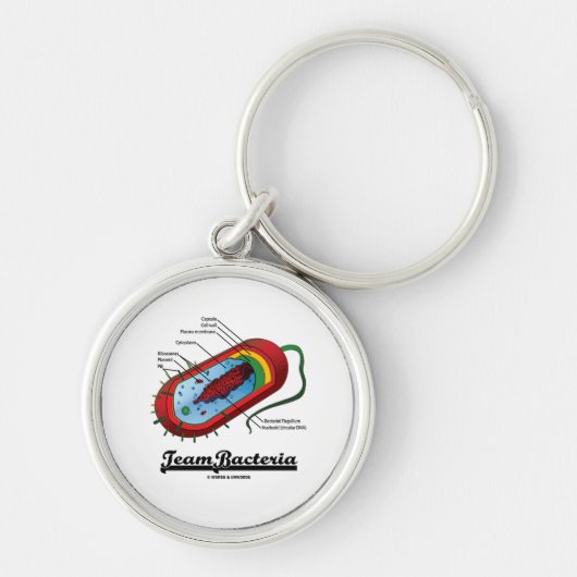 Team Bacteria (Prokaryote) Sleutelhanger (Voorkant)
