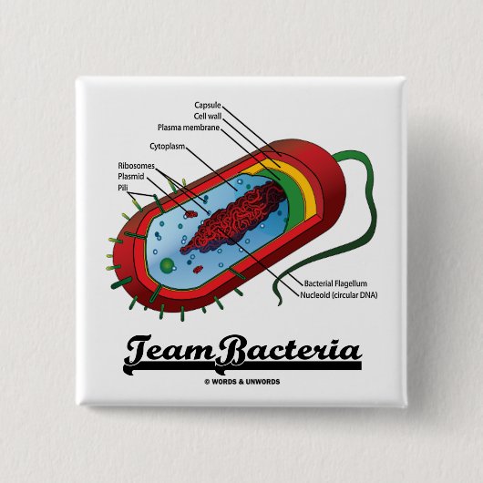 Team Bacteria (Prokaryote) Vierkante Button 5,1 Cm (Voorkant)