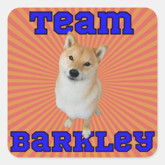 Team Barkley - Vierkante Stickers, Glossy Vierkante Sticker