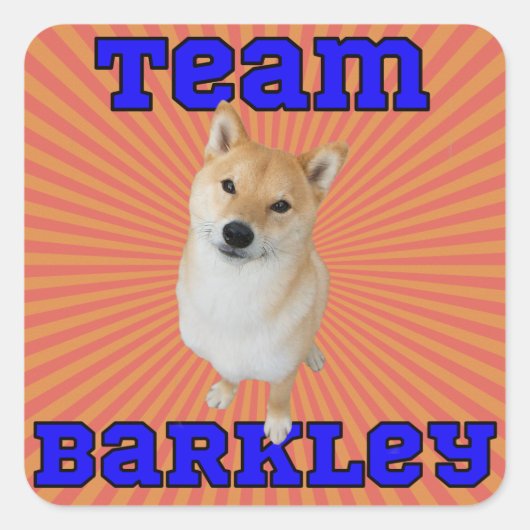 Team Barkley - Vierkante Stickers, Glossy Vierkante Sticker (Voorkant)