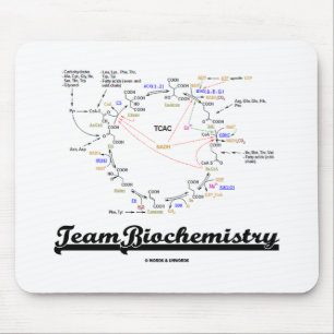 Team Biochemie (Kreb cyclus citroenzuur cyclus) Muismat