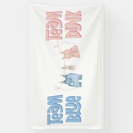 Team Blauw en Roze Geslacht onthullen Spandoek (Verticaal)