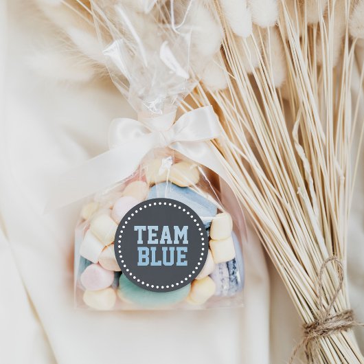 Team Blue Chalkboard Baby Geslacht onthullen Ronde Sticker