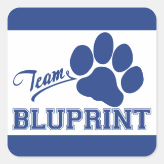 Team BluPrint Vierkante Stickers