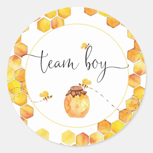 Team Boy Bee Thema Geslacht Stickers onthullen (Voorkant)