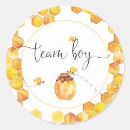 Team Boy Bee Thema Geslacht Stickers onthullen