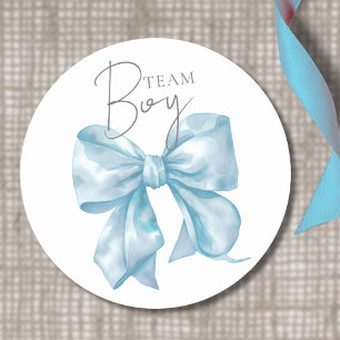 Team Boy Blue Boog Geslacht Onthulling Sticker