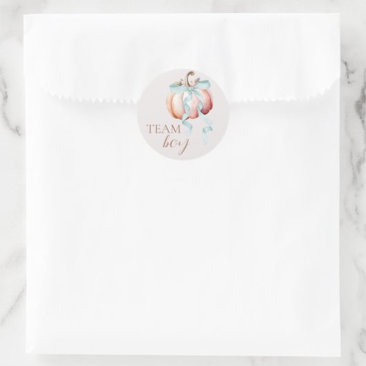 Team Boy Coquette Pumpkin Gender Reveal Sticker (Tas)