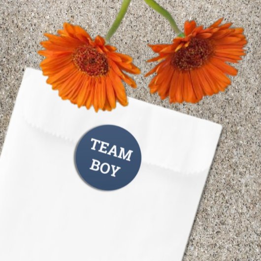 Team Boy Gender onthulling Ronde Sticker
