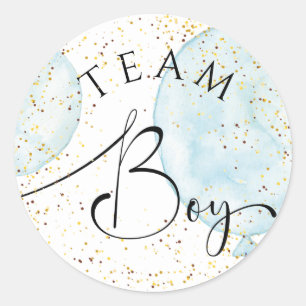 Team boy gender onthult waterverf blauwe ballonnen ronde sticker