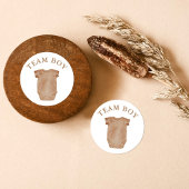 Team Boy Geslacht Onthullen Partij Stemmen Sticker