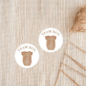 Team Boy Geslacht Onthullen Partij Stemmen Sticker