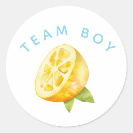 Team Boy Geslacht Onthullen Partij Stemming Citroe Ronde Sticker
