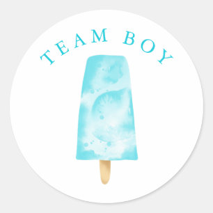 Team Boy Geslacht Onthullen Partij Stemming Ronde Sticker