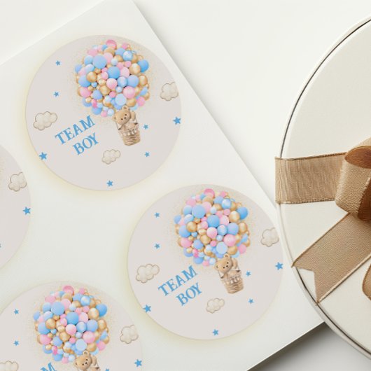 Team Boy Geslacht onthullen Teddy Bear Blauw Ronde Sticker