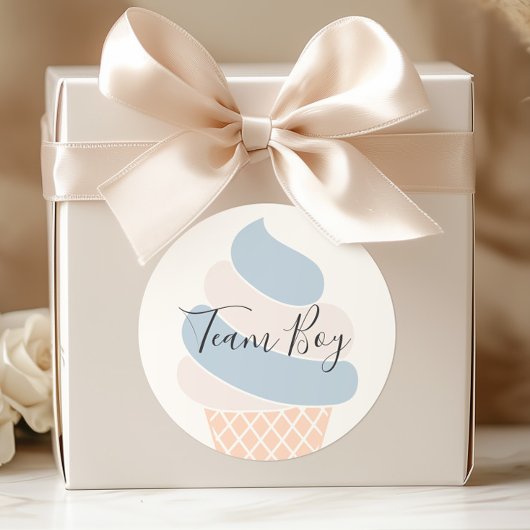 Team Boy Ice Cream Pastel Kleur Geslacht Onthullen Ronde Sticker