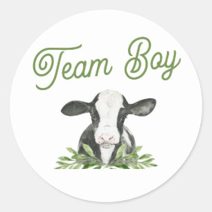 Team Boy Koe Boerderij Geslacht onthullen Sticker