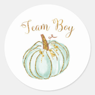Team Boy Pastel Pompoen Geslacht Onthullen spel st Ronde Sticker